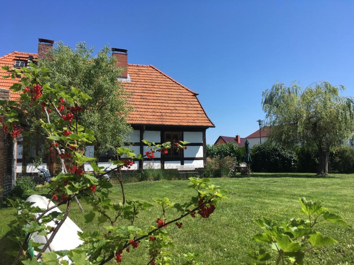 Fischerhaus Godewind 60 Qm Altwarp Экстерьер фото